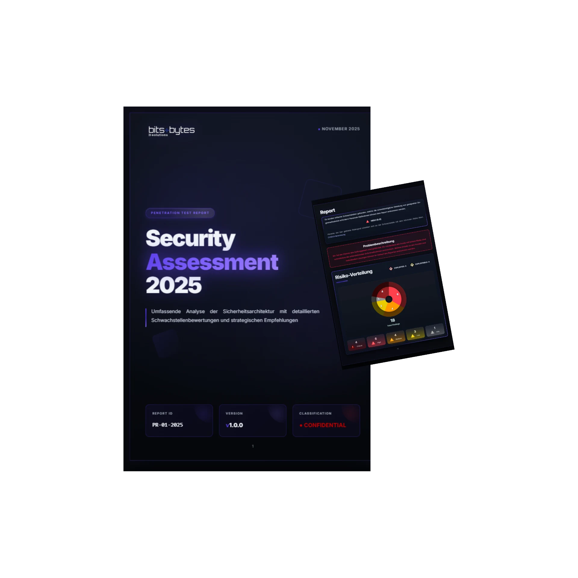 Cybertise PDF
